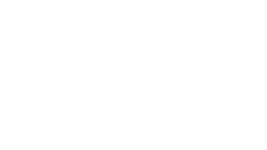 logo negativo